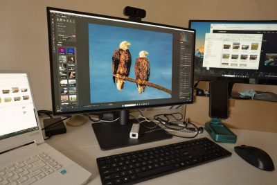 Los mejores monitores para trabajar desde casa: comparativa y guía de compra